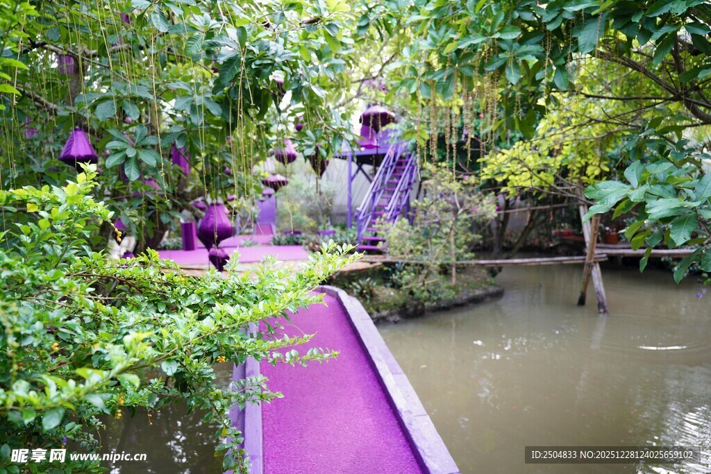 紫色步道旁的绿植水景