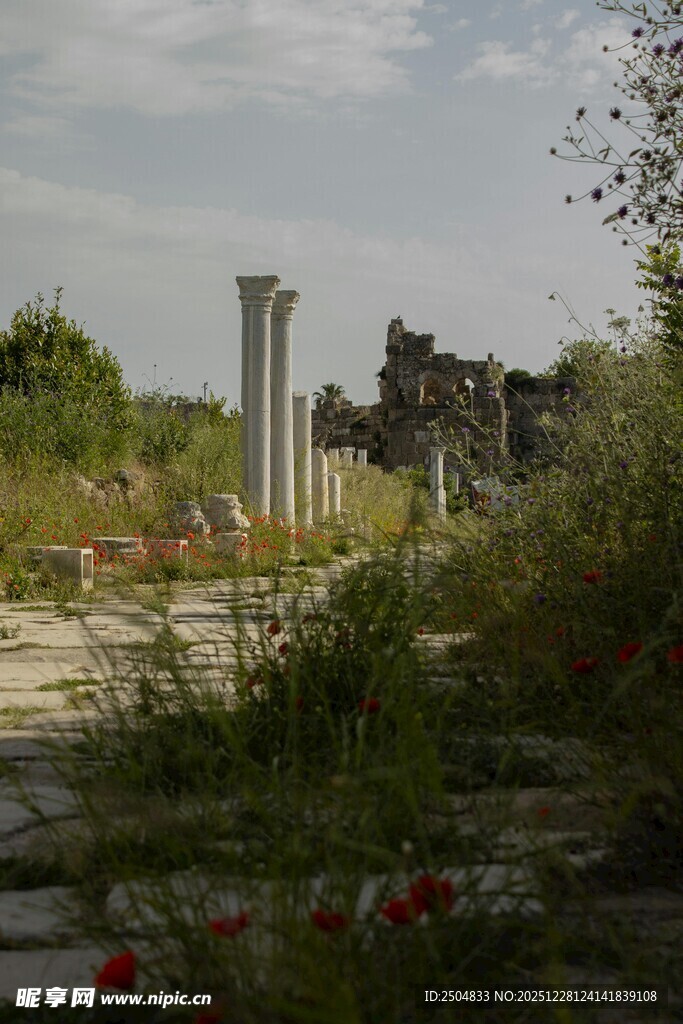 古老遗迹旁的花草景致