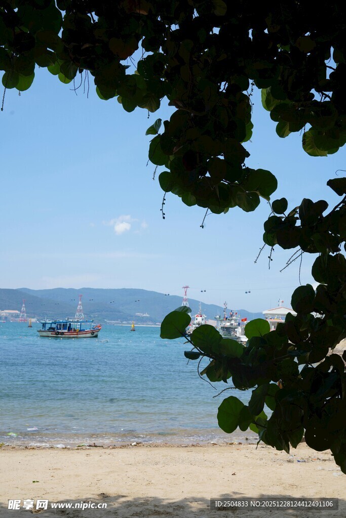 透过绿荫观碧海沙滩