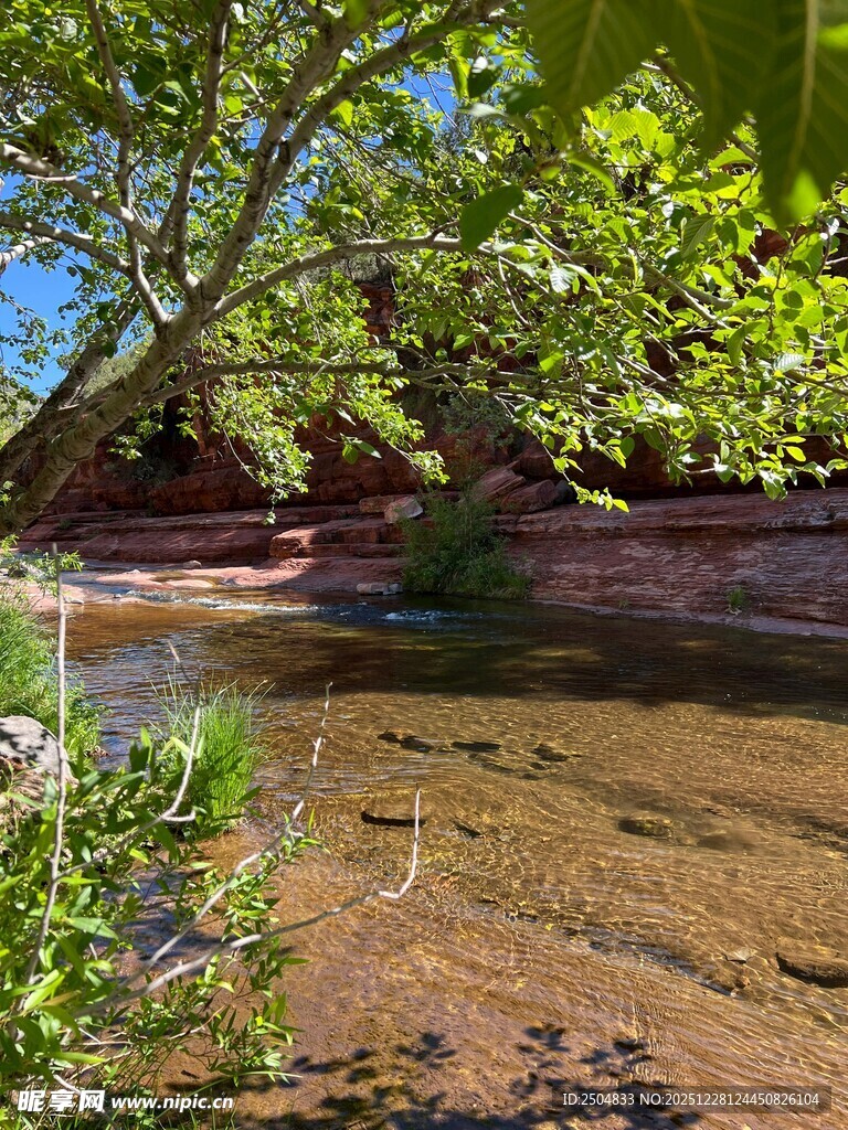 溪边绿树环绕的自然景致