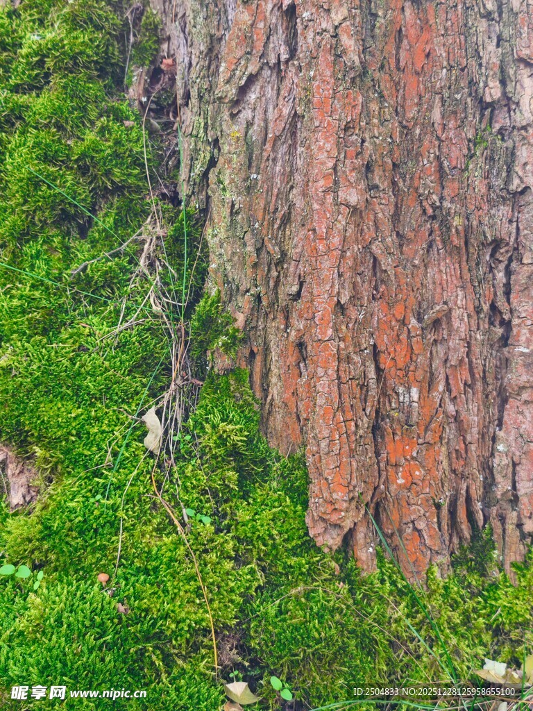 陡峭岩壁上的攀岩者