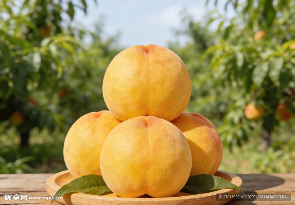 果园里堆叠的黄桃