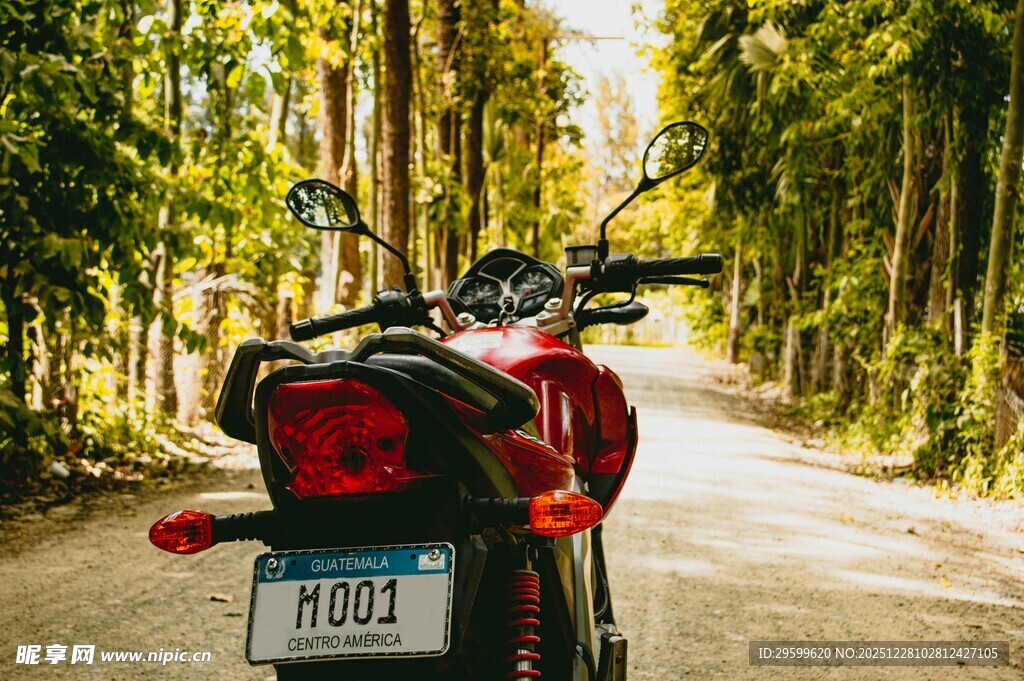 林间骑行的红色摩托车
