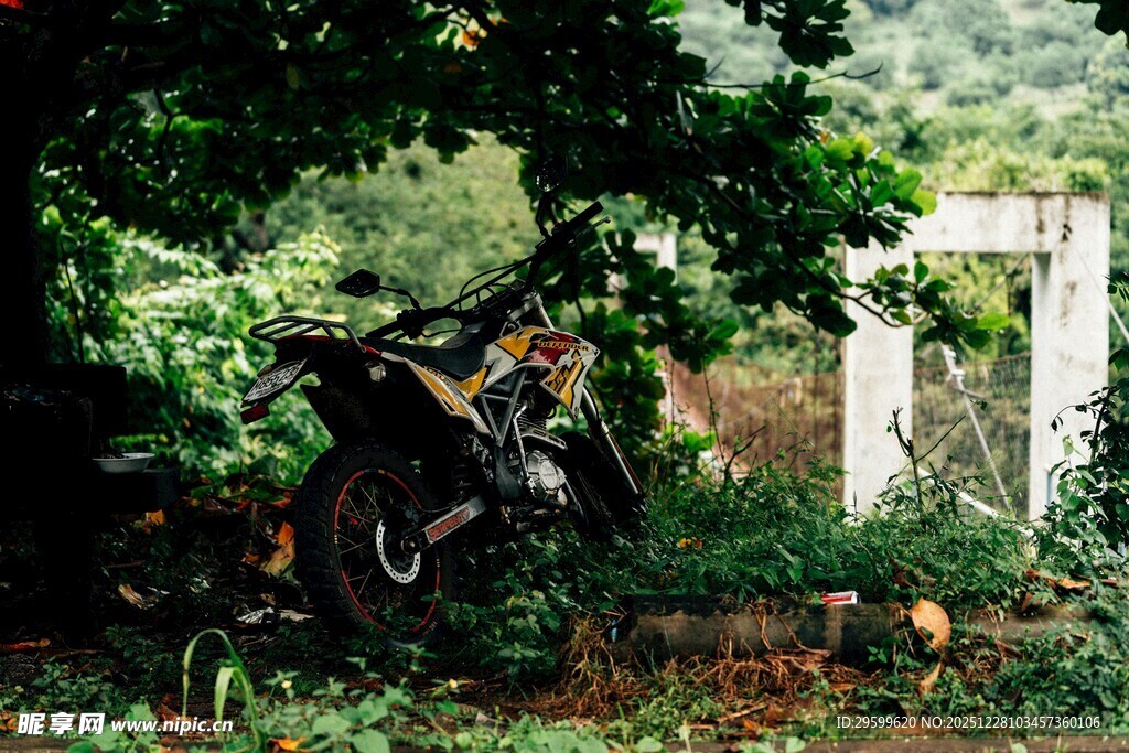 废弃摩托车藏身绿植间