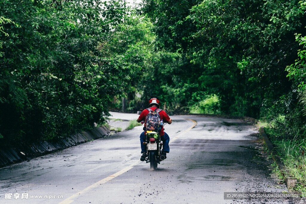 骑行者穿行于绿荫小道