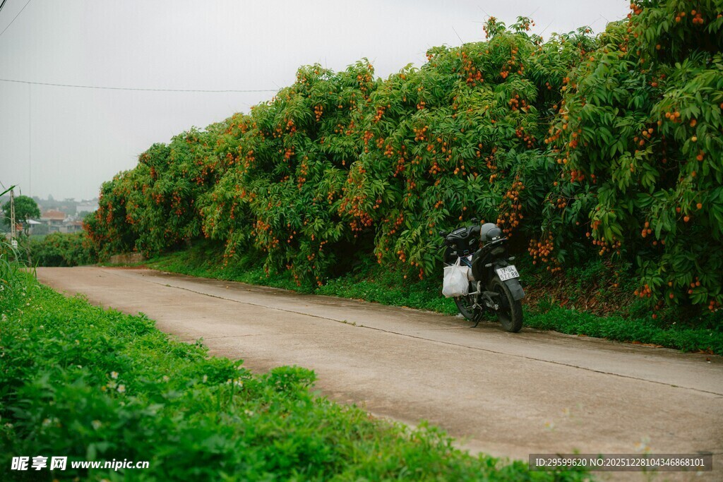 乡间小道上的摩托车骑行