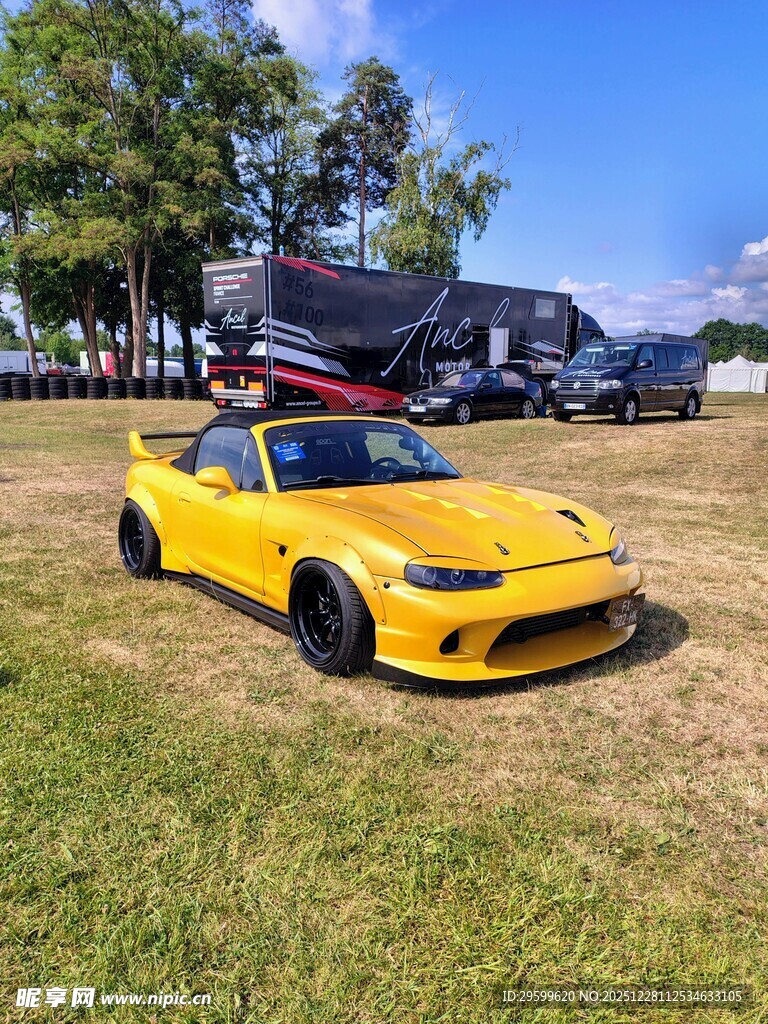 黄色跑车停在户外草地