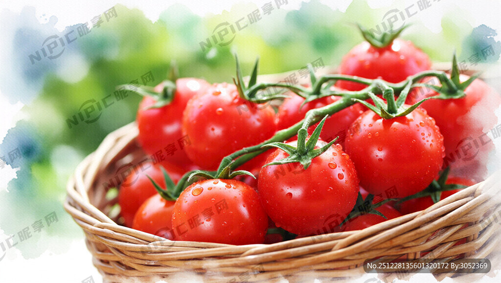 一串串红彤彤的小番茄挂满篮子