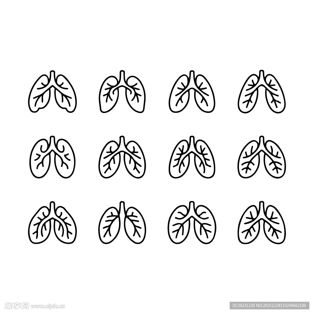 肺部图案