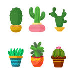 盆栽仙人掌插画