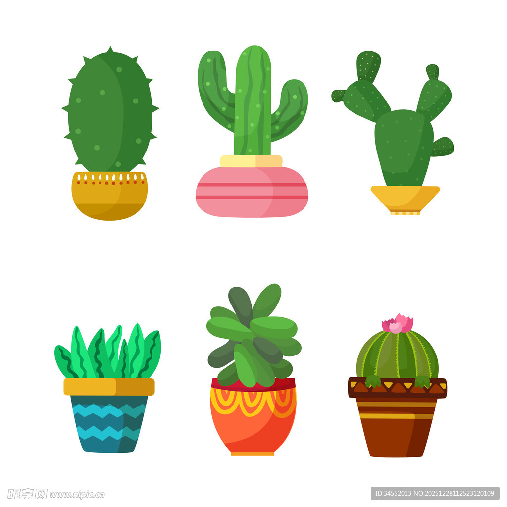 盆栽仙人掌插画