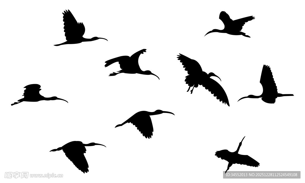 群鸟剪影
