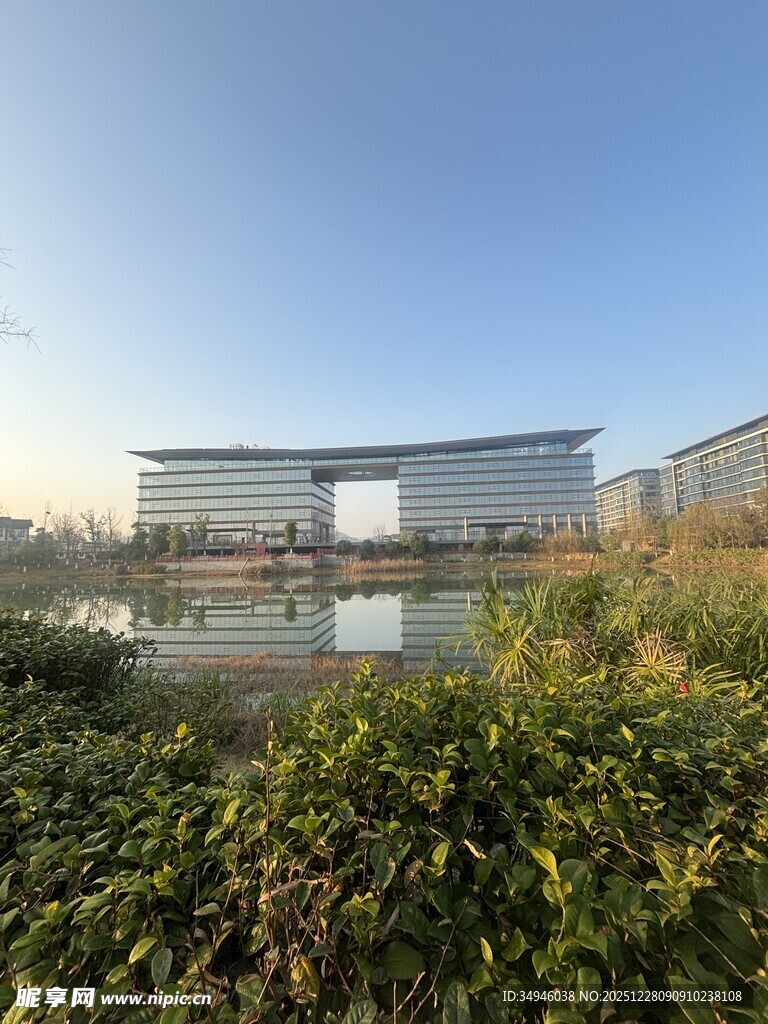 现代建筑旁的绿植景观