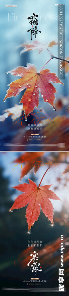 地产寒露霜降枫叶露珠风景海报