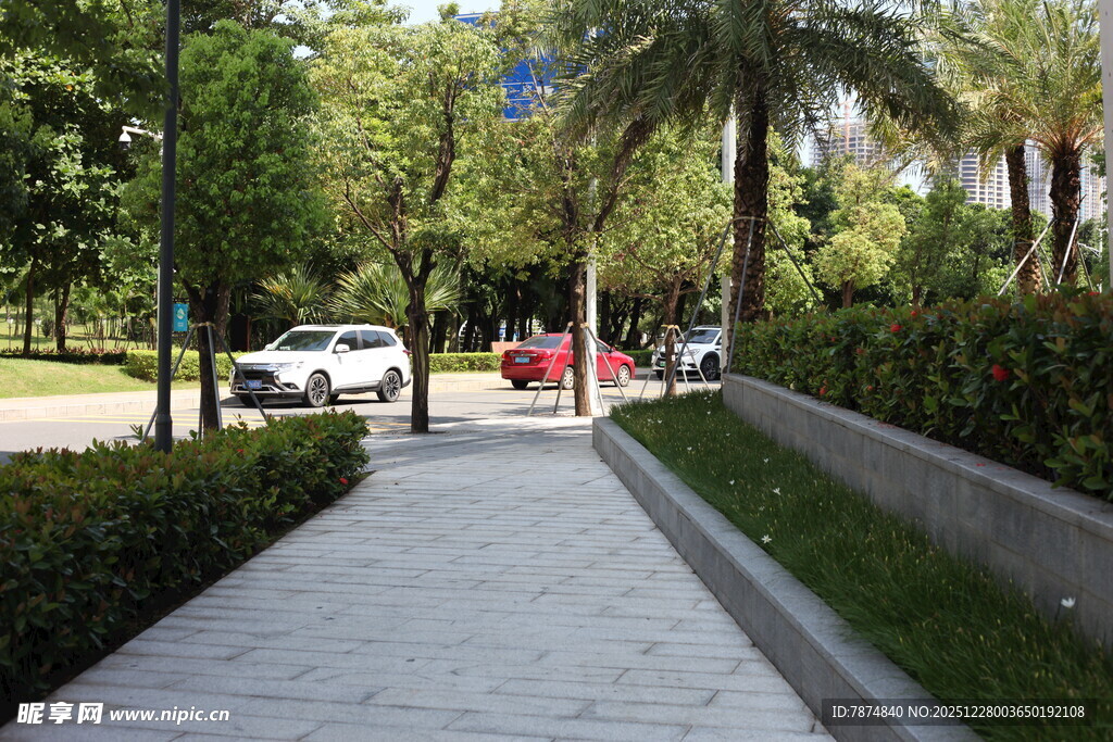 城市中整洁的林荫步道