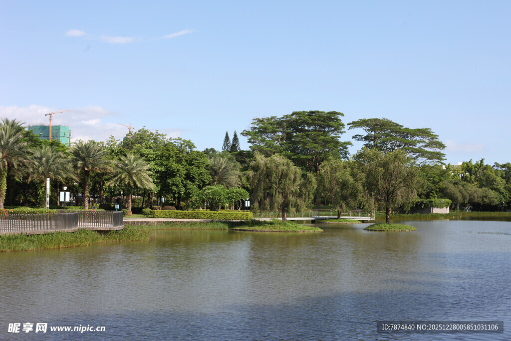 湖畔绿树成荫的宁静风光