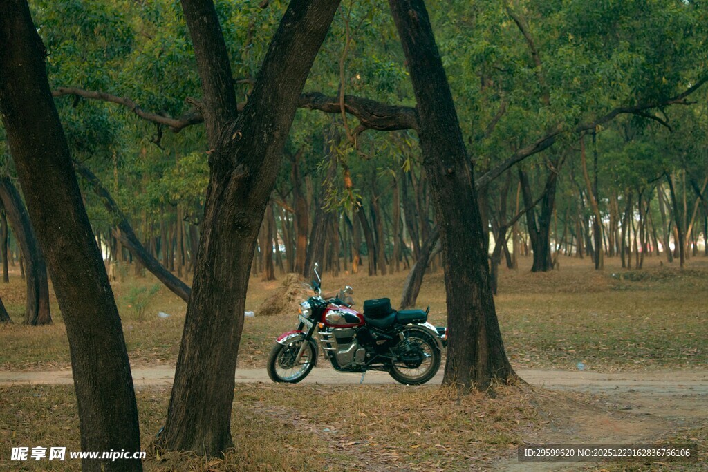 林间停放的复古摩托车