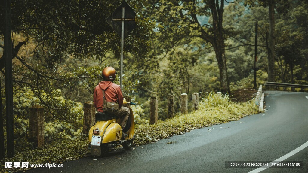 骑行者穿梭于林间公路