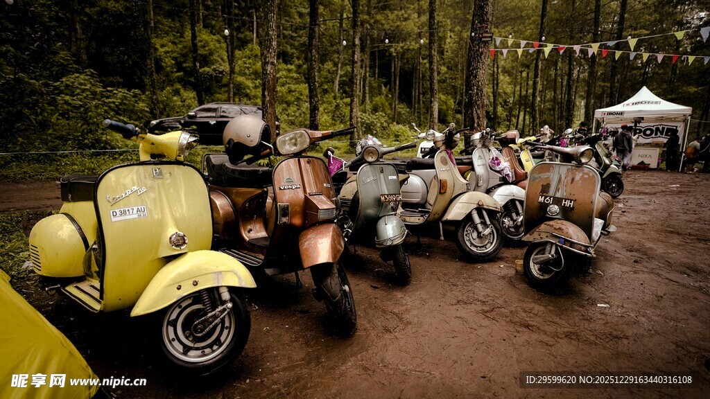 林间停放的复古摩托车