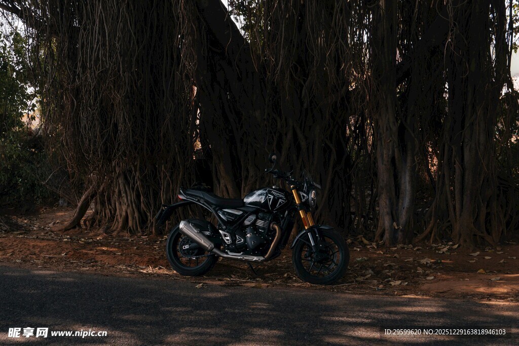 林间停放的炫酷黑色摩托车
