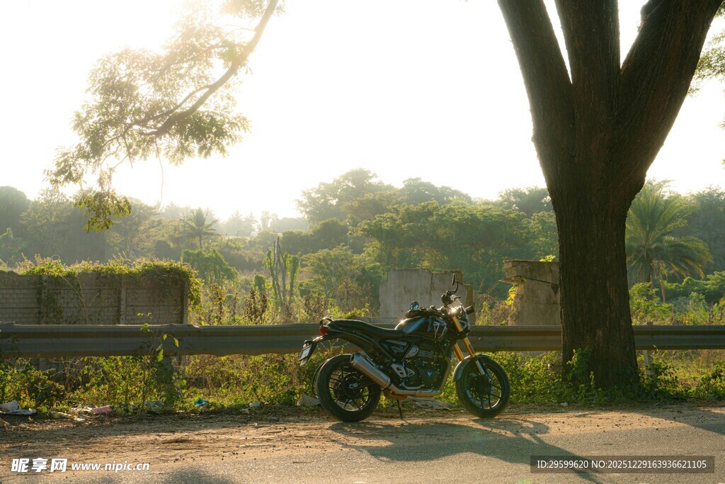 树下停放的复古摩托车