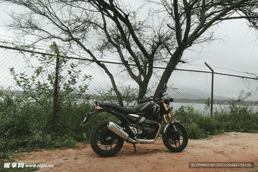 荒野孤树旁的酷炫摩托车
