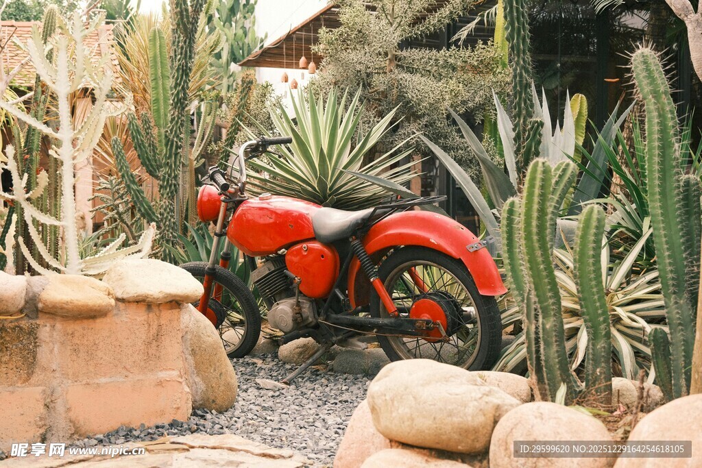 复古红摩托置身绿植间