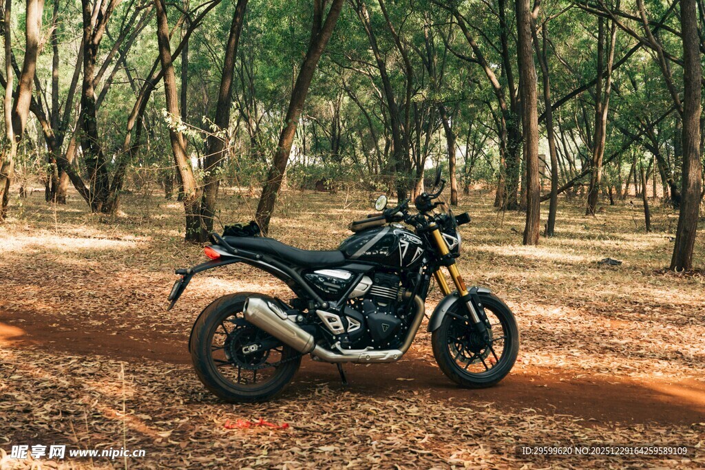 林间停放的酷炫黑色摩托车