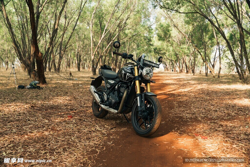 林间停放的复古摩托车