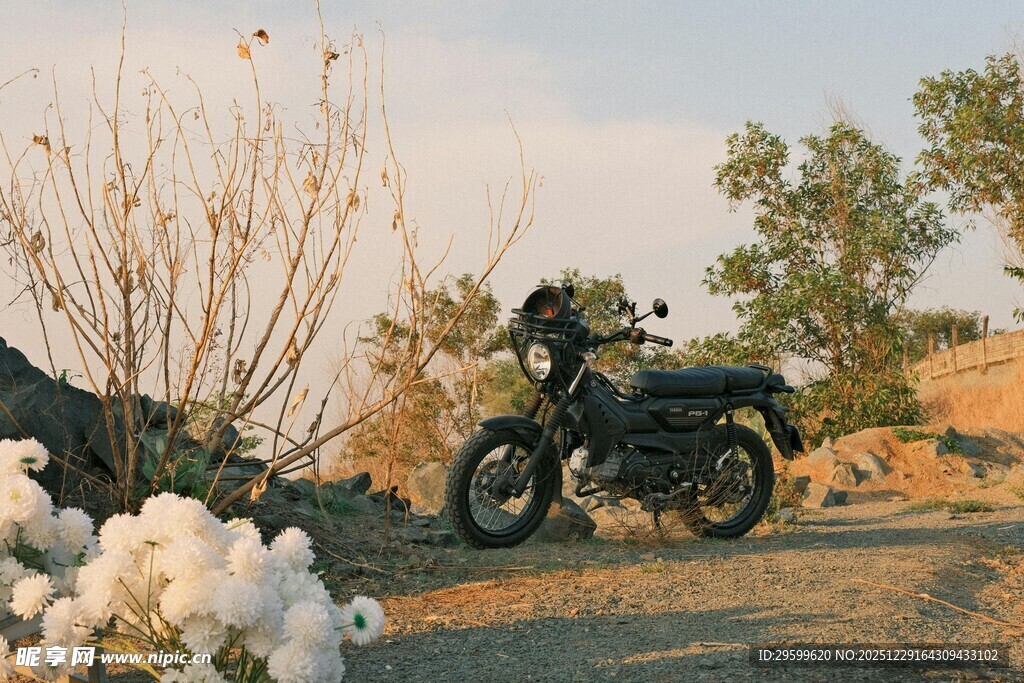 野外停放的复古摩托车