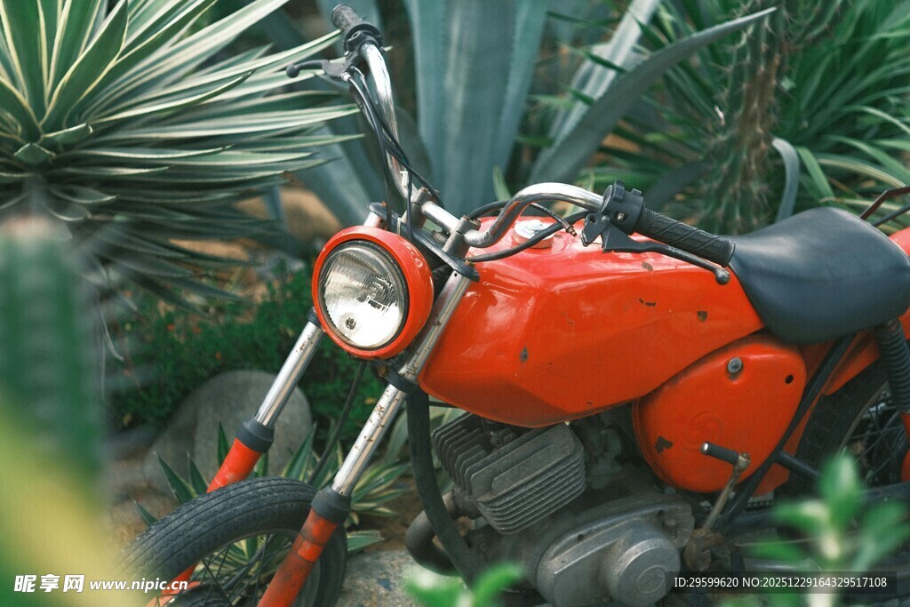 复古红摩托置身绿植间