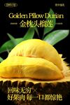 金枕头榴莲水果海报