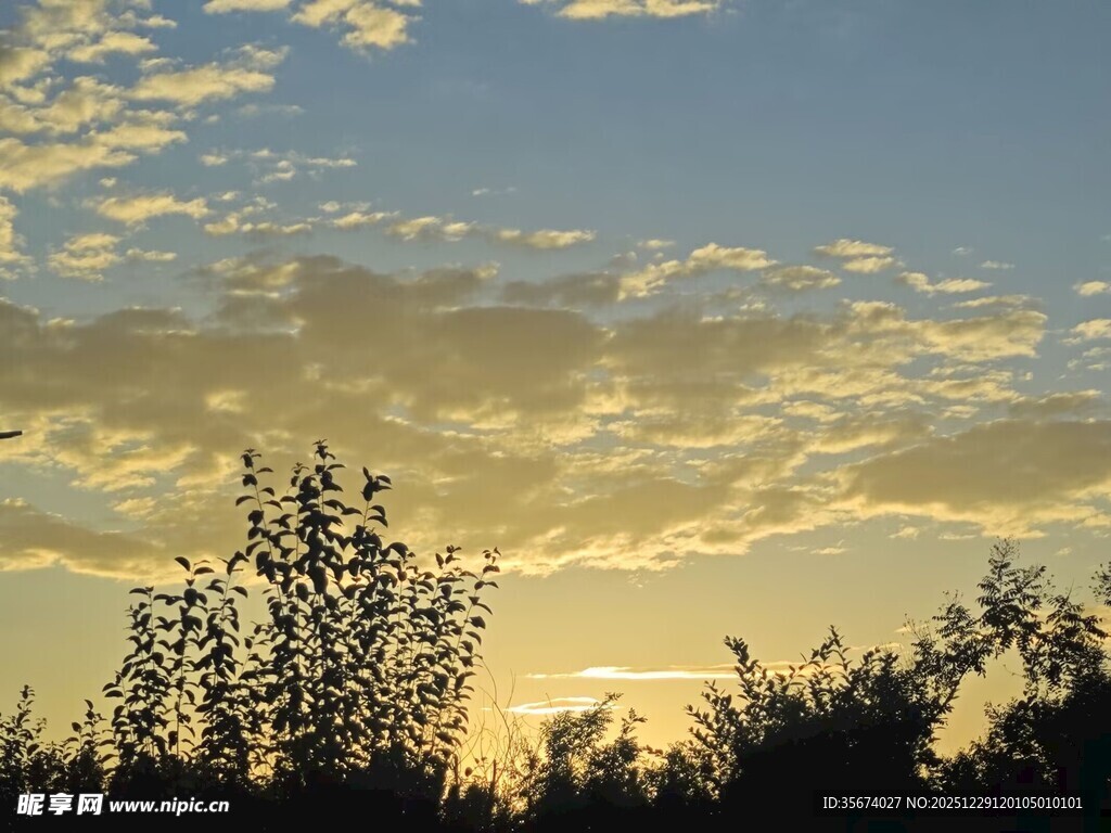 夕阳下的树木与天空美景