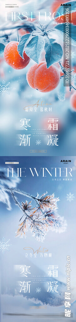 地产霜降立冬结霜柿子海报