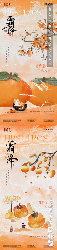 地产霜降中式柿子插画海报