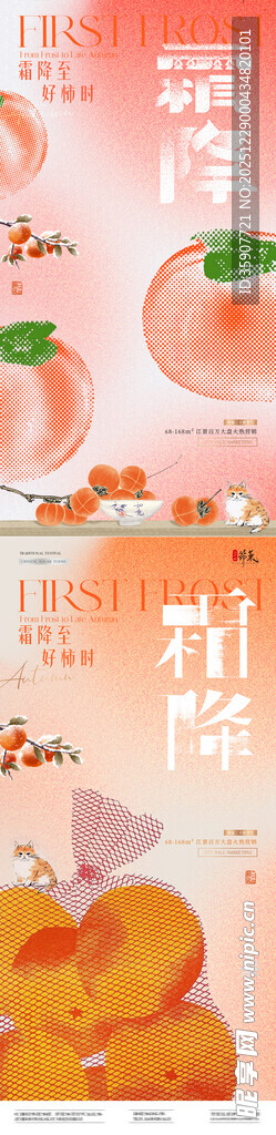 地产霜降柿子插画节气海报