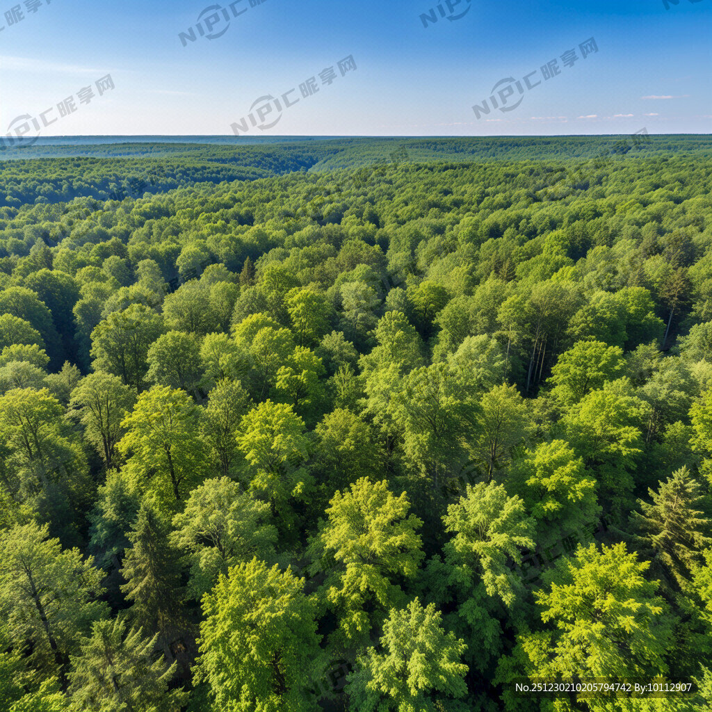 绿色森林远景