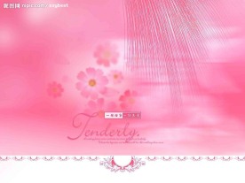 婚纱 psd素材  模板