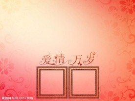 [爱情万岁]时尚婚纱模板