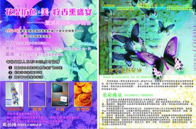 美容宣传单
