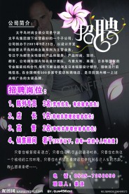 太平鸟招聘海报设计