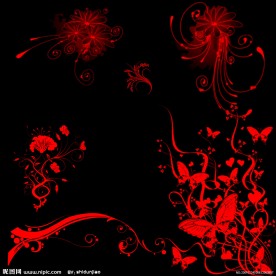 各种潮流花纹 分层花纹 蝴蝶 花纹 梦幻花纹 装饰花纹 黑色背景 红色花纹