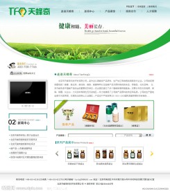 天蜂奇中文商业网站模板