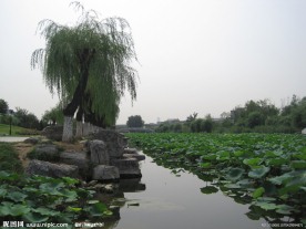 房山区良乡刺猬河风景
