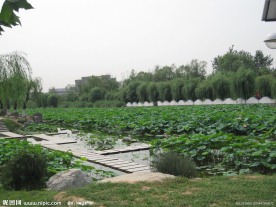 房山区良乡刺猬河风景