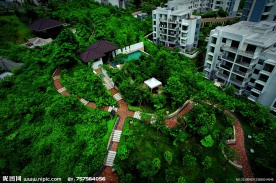 道路 绿化 园林 万科东海岸实景图 建筑图片 房地产素材图片 住宅图片 房子 建筑摄影 摄影图片