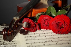 玫瑰花和小提琴