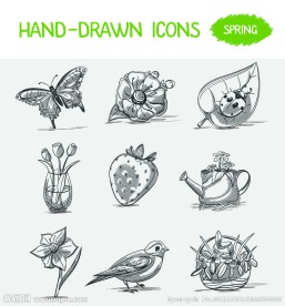 动植物手绘图标