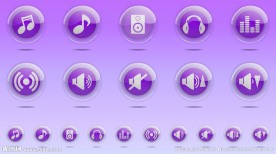 flash播放器按钮