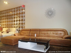 沙发皮沙发 家具